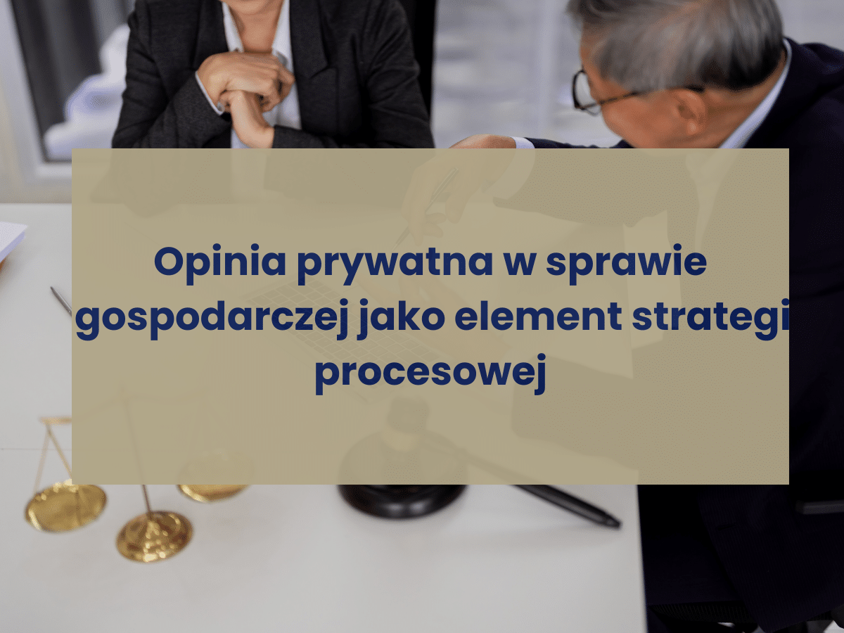 Opinia prywatna w sprawie gospodarczej jako element strategii procesowej